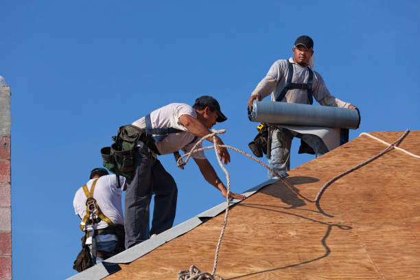Best Roof Gutter Cleaning  in Wanamingo, MN